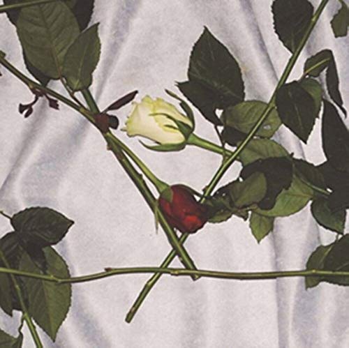 Chain of Flowers [Vinyl LP] von ALTER