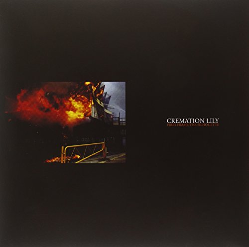 Fires Frame the Silhouette [Vinyl LP] von ALTER