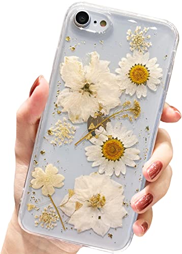 AMART für iPhone SE 2022/SE 2020/iPhone 7/8 Hülle Blumen, Durchsichtig Echte Getrocknete Blumen HandyHülle Klare Gänseblümchen Glitzer Design Weich TPU Schutzhülle für Frauen Mädchen(Goldene Blume) von AMART