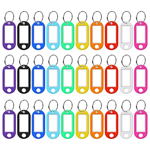 AMATHINGS Schlüsselanhänger beschriftbar 30 Stück – Schlüsselanhänger zum Beschriften mit auswechselbaren Etiketten – Schlüsselschilder zum Beschriften in verschiedenen Farben von AMATHINGS