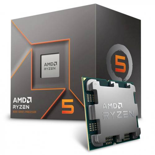 AMD Ryzen 5 8500G 6 x 3.5GHz Hexa Core Prozessor (CPU) Boxed Sockel (PC): AM5 von AMD