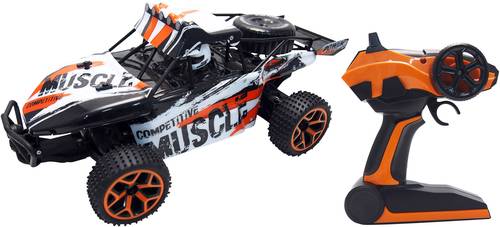 Amewi 22220 Extreme D5 1:18 RC Einsteiger Modellauto Elektro Buggy Allradantrieb (4WD) inkl. Akku, L von AMEWI