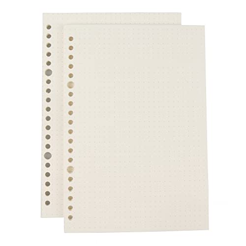 AMO HERMOSO Notizbuch 2 Packungen Spiralblock Notizblock A5 Refill Papier, Dotted, Notebook Dotted Paper, 80gsm, 120 Blatt, 240 Seiten (dotted-refill) von AMO HERMOSO