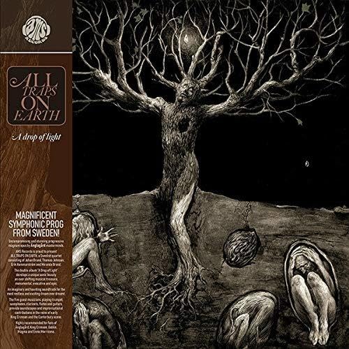 A Drop of Light (180 Gr. Gatefold) [Vinyl LP] von AMS