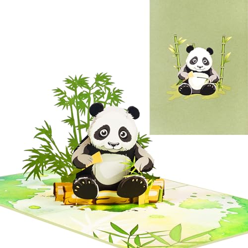 3D Geburtstagskarte,Pop Up Panda Karte,Panda und Bambus Kinder Geburtstagskarte,Abschlusskarte,Ermutigungskarte,Reisekarte von ANEWISH