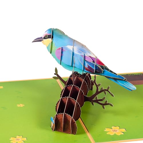 3D Geburtstagskarte,Pop Up Vogel Grußkarte,Faltkarte mit Umschlag von ANEWISH