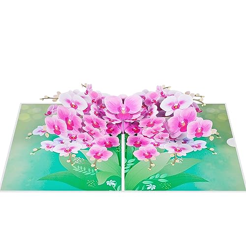 3D Geburtstagskarte,Pop up Phalaenopsis Grußkarte mit Umschlag zur Verwendung als Ermutigungskarten,Abschlusskarten,Trostkarten,Dankeskarten von ANEWISH