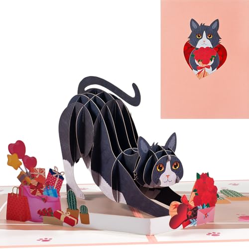 3D Valentinstagskarte,Pop-up Katze mit Rose Liebes Grußkarte,Liebeskarte für Geburtstag,Valentinstag,Jahrestag von ANEWISH