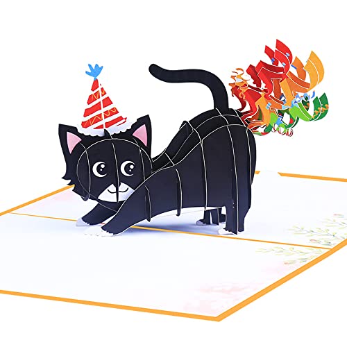 Pop Up 3D Katze,Geburtstagskarte,Glückwunschkarte,Freundschaftskarte,Geschenkkarte,Überraschungskarte,Ermutigungskarten mit Schwarze Katze von ANEWISH