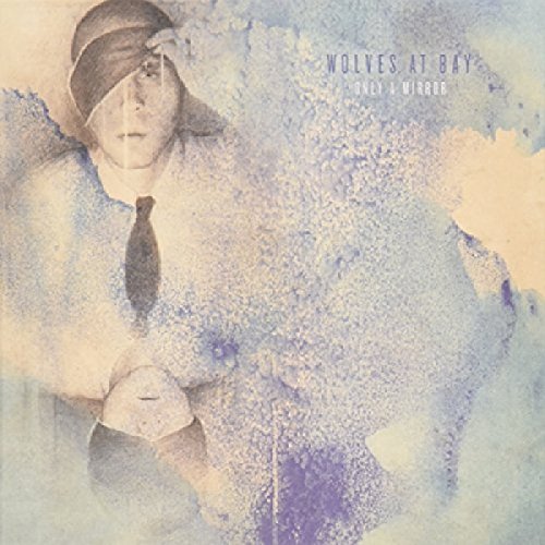 Only a Mirror [Vinyl LP] von ANIMAL STYLE RECORDS