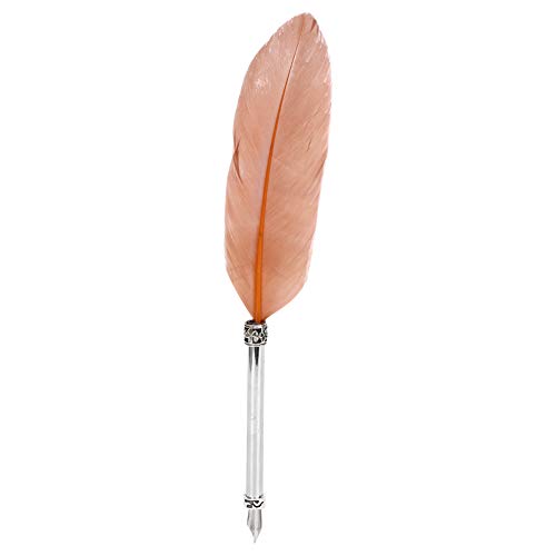 ANKROYU Edelstahl Feather Dip Stift Vintage Brunnen Stift Elegantes Design reibungsloses Schreiben Erlebnis ideal für Business Office Geburtstagse Brown von ANKROYU