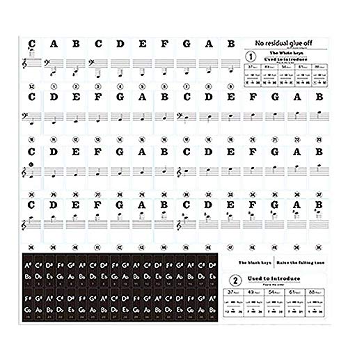 ANNJUC 88 Tasten 61 Tasten 54 Tasten Durchsichtiges Klavier Tastatur Aufkleber Elektronische Tastatur Aufkleber Tab Musikalische Taste Aufkleber von ANNJUC