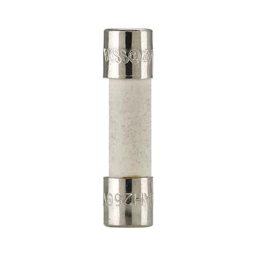 ANTJWXYQ 10 Stück 5 x 20 10 A 250 V Keramikrohr-Sicherung BK1-S505-10-R(S505-10-R) von ANTJWXYQ