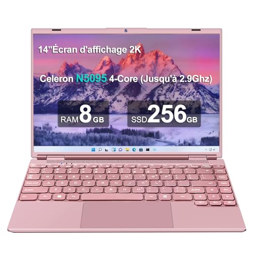 AOCWEI Laptop 14 Zoll 8GB+256GB SSD Erweiterbar 1 TB SSD, Notebook mit Celeron N5095 (bis zu 2,9 GHz), Kühlgebläse 1920x1200 2K FHD Extrem Schmale Lünette Bildschirm Multifunktionales-Pink von AOCWEI