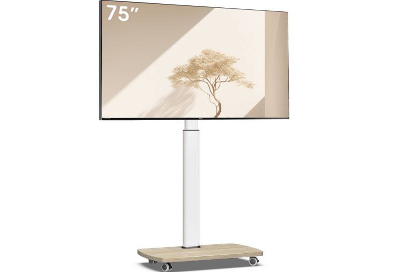 AOKCOS TV-Ständer, (bis 75 Zoll, mit Holzbasis) von AOKCOS