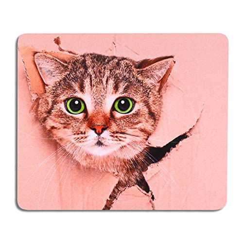 AOKSUNOVA Mauspad Katze Mousepad Lustig Gaming Mauspad 240 x 200 mm Utschfester Unterseite von AOKSUNOVA