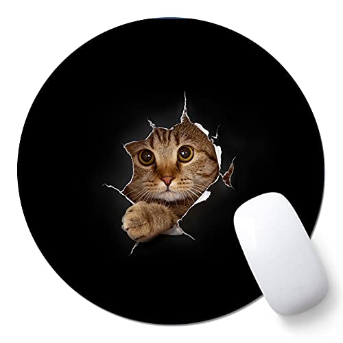 AOKSUNOVA Mauspad Katze Office Mousepad klein mit Motiv,200 x 200 mm,Runden von AOKSUNOVA