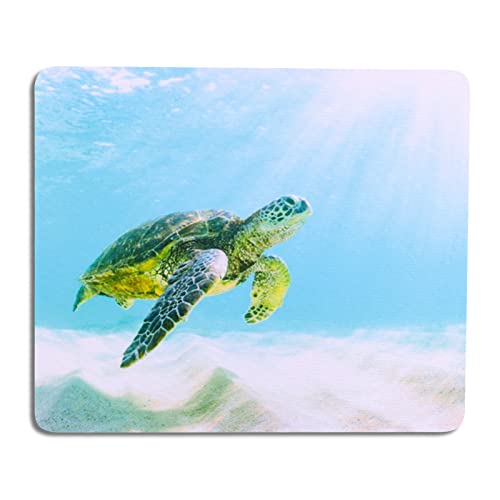 AOKSUNOVA mauspad Klein mit Motiv 24 x 20 cm Mauspad Tiere Mauspad Muster Schildkröte von AOKSUNOVA