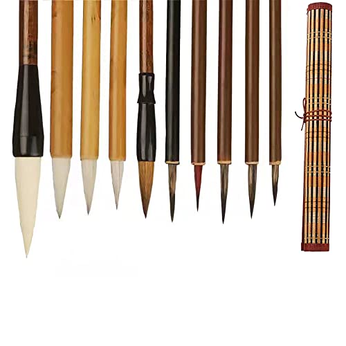 AOMAYLL Chinesische Pinsel professionelle Kalligraphie,Schreibpinsel,mit zum Schreiben Zeichnen,Ein Satz mit 10 Pinsel(mit Pinseltasche) von AOMAYLL