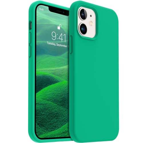 AOTESIER Entworfen für iPhone 12/12 Pro Hülle, Silikon stoßfeste Schutzhülle mit [Fallschutz in Militärqualität] [Weiches kratzfestes Mikrofaserfutter] 6,1 Zoll, Smaragdgrün von AOTESIER
