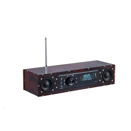 AOVOTO ALK103 FM/DAB Radio Do It Yourself (DIY) Kits mit Acrylgehäuse, DIY DAB+/FM Sets mit Weckmodus & LCD-Display & Stereo-Soundbox (braun) von AOVOTO