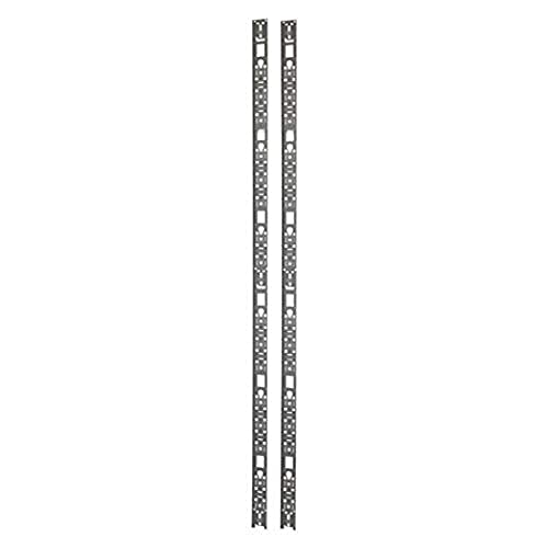 APC AR7511 42U NetShelter SX Kabelführungsplatte für Schaltschrank (vertikal) schwarz von APC