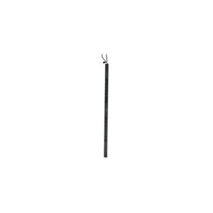 APC Basic Rack-Mount PDU - Steckdosenleiste (Rack - einbaufähig) - Wechselstrom 230 V - 3680 Watt - 24 Ausgangsstecker (AP7552) von APC