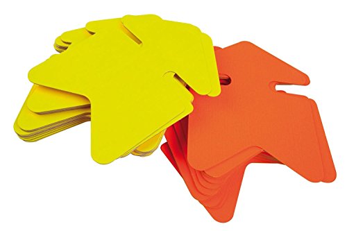 APLI 025910 10 Produktreihe Neon nicht löschbar, 970 mm x 250 mm, jaune-orange von APLI