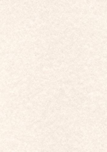 Decadry Briefkopf/95 GSM Präsentation Papier – Warm grau (100 Stück) von APLI