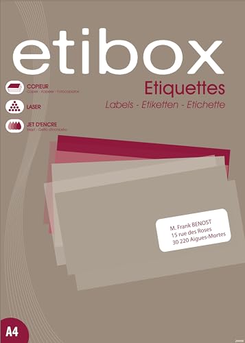 ETIBOX 14954-100 weiße selbstklebende Mehrzwecketiketten - 199,6 x 289,1 mm - Laser, Tintenstrahldrucker, Kopierer - A4-100 Blatt von APLI