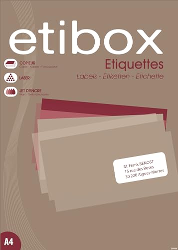 Etibox 119770-6500 Etiketten – 38 x 21,2 mm – Drucker: Laser, Kopierer, Tintenstrahldrucker – gerade Ecken. von APLI