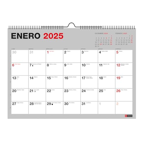 Miquelrius Wandkalender, 18 Monate, von Juli 2024 bis Dezember 2025, A4-Format (296 x 210 mm), mit Notizblock, Doppelspirale mit Aufhängung, Grau von APLI