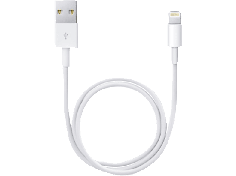 APPLE ME291ZM/A, Lightning Connector auf USB Kabel, Weiß APPLE ME291ZM/A, Lightning Connector auf USB Kabel, Weiß von APPLE