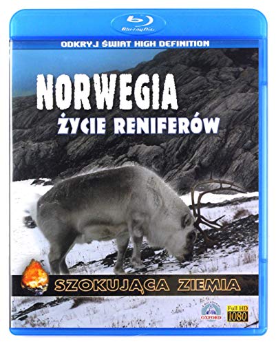 Szokujaca Ziemia: Norwegia. Zycie reniferow [Blu-Ray] (Keine deutsche Version) von APR Project DVD