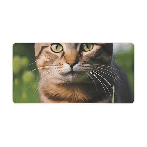 Mauspad, Motiv: getigerte Katze auf dem Gras, groß, rutschfest, Schreibtischunterlage, große Computer- und Laptop-Matte, Laptop-Schutz, Schreibblöcke für Büro, Zuhause, 30,5 x 61 cm Mauspad, Motiv: getigerte Katze auf dem Gras, groß, rutschfest, Schreibtischunterlage, große Computer- und Laptop-Matte, Laptop-Schutz, Schreibblöcke für Büro, Zuhause, 30,5 x 61 cm von AQRJLPM