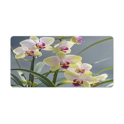 Mauspad mit bunten Orchideen, groß, rutschfest, für Büro, Schreibtisch, große Computer- und Laptop-Matte, Laptop-Schutz, Schreibblöcke für Büro, Zuhause, 30,5 x 61 cm Mauspad mit bunten Orchideen, groß, rutschfest, für Büro, Schreibtisch, große Computer- und Laptop-Matte, Laptop-Schutz, Schreibblöcke für Büro, Zuhause, 30,5 x 61 cm von AQRJLPM