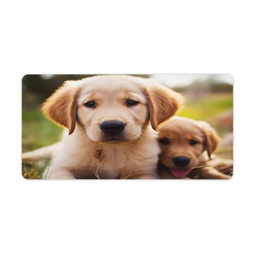 Mauspad mit niedlichem Golden Retriever-Welpen-Motiv, groß, rutschfest, Schreibtischunterlage, große Computer- und Laptop-Matte, Laptop-Schutz, Schreibblöcke für Büro, Zuhause, 30,5 x 61 cm Mauspad mit niedlichem Golden Retriever-Welpen-Motiv, groß, rutschfest, Schreibtischunterlage, große Computer- und Laptop-Matte, Laptop-Schutz, Schreibblöcke für Büro, Zuhause, 30,5 x 61 cm von AQRJLPM