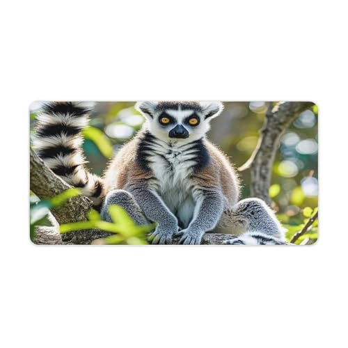 Ringtailed Lemur Mauspad, groß, rutschfest, für Büro, Schreibtisch, große Computer- und Laptop-Matte, Laptop-Schutz, Schreibblöcke für Büro, Zuhause, 30,5 x 61 cm Ringtailed Lemur Mauspad, groß, rutschfest, für Büro, Schreibtisch, große Computer- und Laptop-Matte, Laptop-Schutz, Schreibblöcke für Büro, Zuhause, 30,5 x 61 cm von AQRJLPM