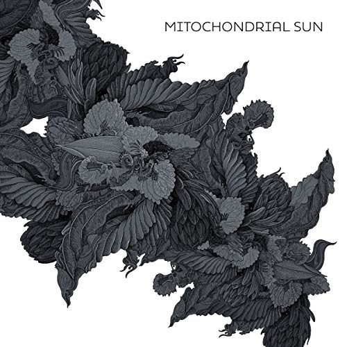 Mitochondrial Sun [Vinyl LP] von ARGONAUTA