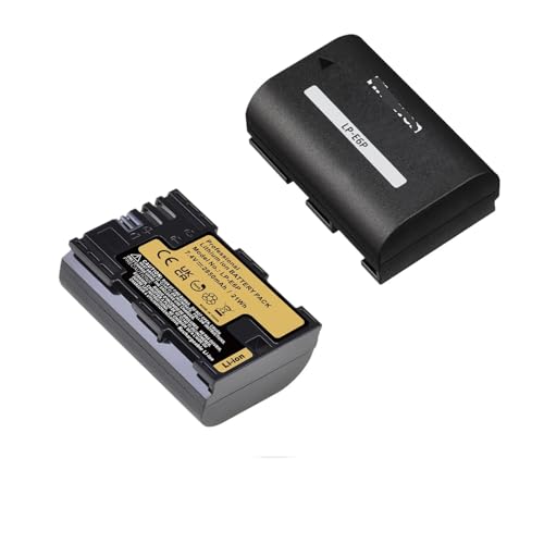 2850 MAh LP-E6P LP E6P Akku, Kompatibel for Canon, for EOS R5 Mark II 5D Mark III(2xBattery) von ARPZPPSK