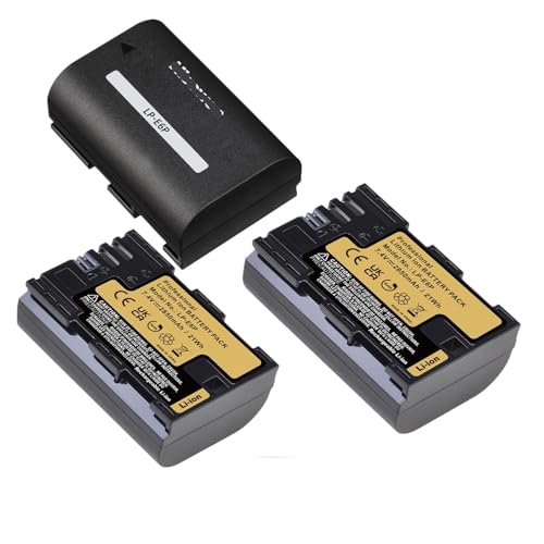 2850 MAh LP-E6P LP E6P Akku, Kompatibel for Canon, for EOS R5 Mark II 5D Mark III(3xBattery) von ARPZPPSK