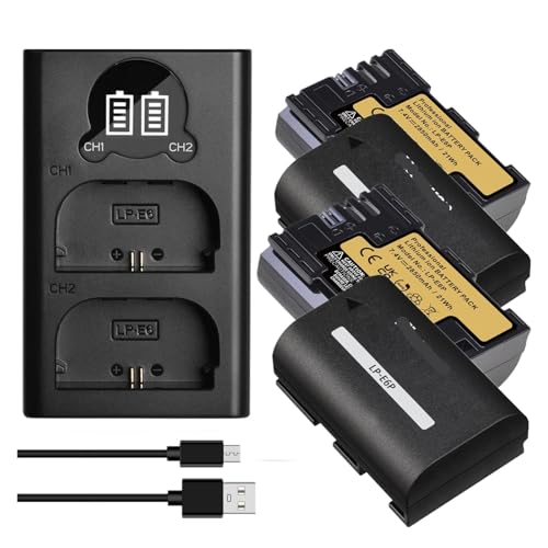 2850 MAh LP-E6P LP E6P Akku, Kompatibel for Canon, for EOS R5 Mark II 5D Mark III(4xBattery 1xCharger) von ARPZPPSK