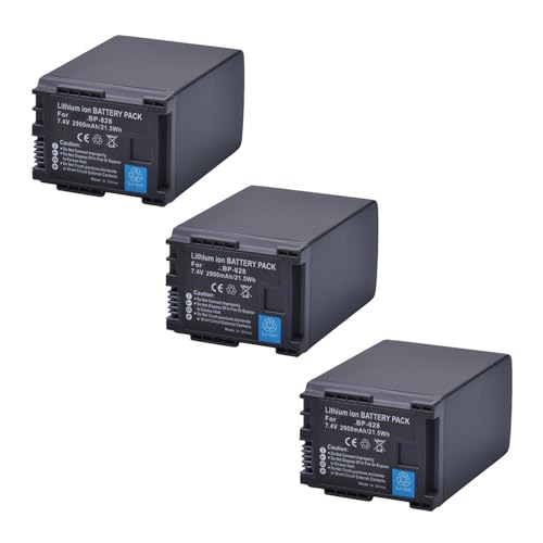 2900 MAh BP-828 BP828 Akku, Kompatibel Mit Canon, for BP-820, HF G21, G30, G40, G50, XA20, XA25, XA45, XA50, XA55, VIXIA GX10(3 Battery) von ARPZPPSK
