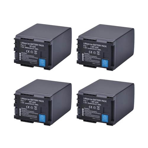 2900 MAh BP-828 BP828 Akku, Kompatibel Mit Canon, for BP-820, HF G21, G30, G40, G50, XA20, XA25, XA45, XA50, XA55, VIXIA GX10(4 Battery) von ARPZPPSK