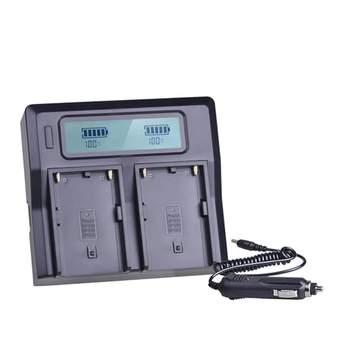 5200 MAh BP-U60 BP-U65 BPU60 Akku Und D-Tap/USB-Ladeanschluss, Kompatibel for Sony, for PMW-100 PMW-200 PMW-EX1 PMW-EX1R PMW-EX3 PMW-EX260 PMW-EX3R(Only 1 Charger) von ARPZPPSK