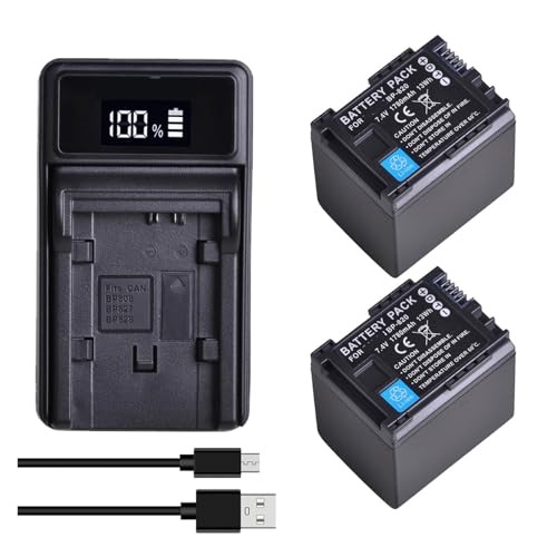 BP-820 BP820 Akku + LED-USB-Ladegerät, Kompatibel Mit Canon, for LEGRIA HF G30 G40 XA10 XA20 XA25 XA30 XA35 XA40 XA45 XA50 GX10 HFG21 HFG40 HFM300(2xBattery 1xCharger) von ARPZPPSK