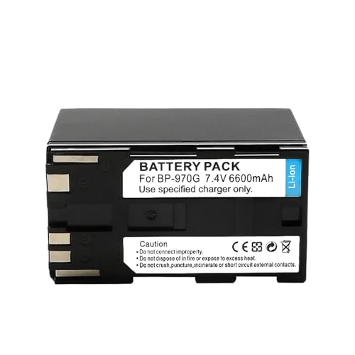 BP-975 BP 975 BP-945 6600 MAh Akku, Kompatibel for Canon, for EOS C100, EOS C100 Mark II, EOS C300, EOS C300 PL, GL2, XF100, XF105(1pcs) von ARPZPPSK