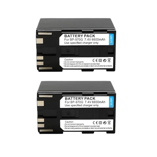 BP-975 BP 975 BP-945 6600 MAh Akku, Kompatibel for Canon, for EOS C100, EOS C100 Mark II, EOS C300, EOS C300 PL, GL2, XF100, XF105(2 PCS) von ARPZPPSK