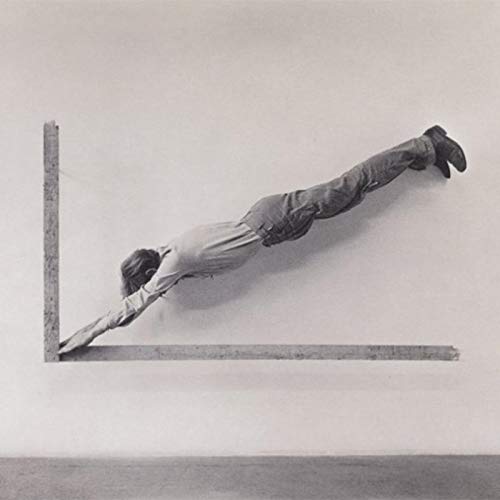 Insignificant Whip von ARROWHAWK RECORDS