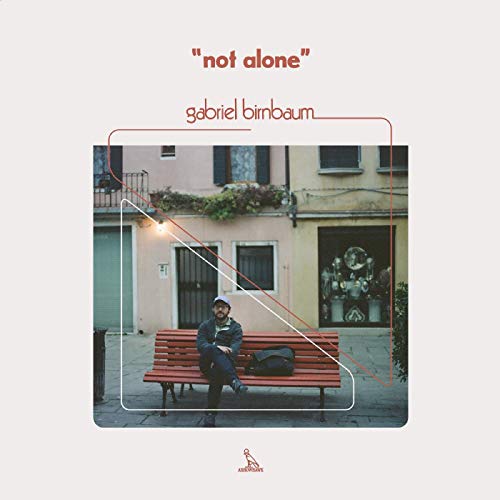 Not Alone [Vinyl Maxi-Single] von ARROWHAWK RECORDS